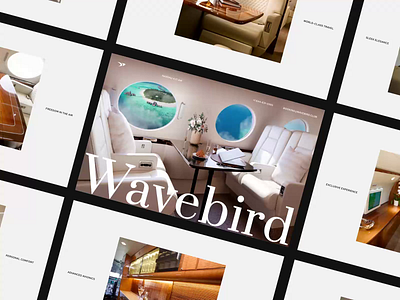 Wavebird - Website design for a charter luxury aviation company 3d animation aviation booking charter landing landing page luxury motion graphics scroll ui user interface ux web design webflow website website design