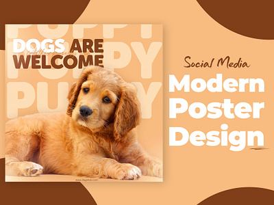 Social Media Poster Design For Pet Shop! 3d animation branding graphic design logo motion graphics pet ui