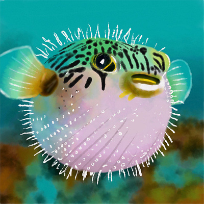 Watercolor fugu fish adobe fresco graphic design illustration watercolor