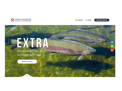 Aqua Alliance branding design ui ux web design