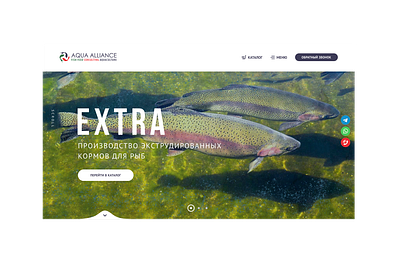 Aqua Alliance branding design ui ux web design