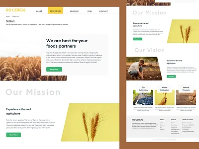 Desktop interaction about about us branding design desktop graphic design home homepage interaction design landing page minimal ui user interface ux ux design website website design