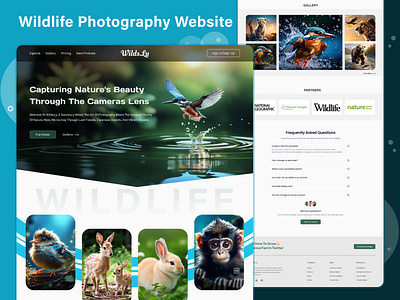 Wildlife Photographers Website Design figma
