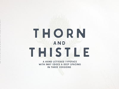 Thorn & Thistle Sans Serif Family hand drawn sans serif sans serif simple font simple sans serif