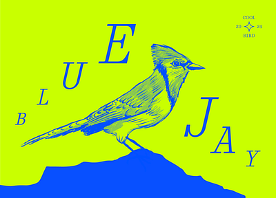 Birdy bird colors illustration trippy typography