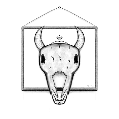 Cow Skull cow design illustration skull