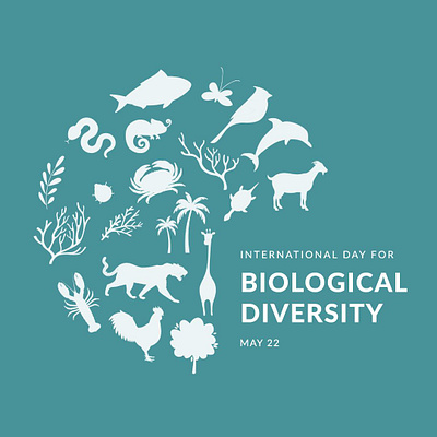 Teal international day for biological diversity day poster biological diversity day poster design graphic design illustration nature poster vector