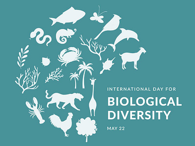 Teal international day for biological diversity day poster biological diversity day poster design graphic design illustration nature poster vector