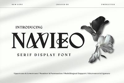 Navieo - Serif Display Font design header lettering serif stylish trendy typeface