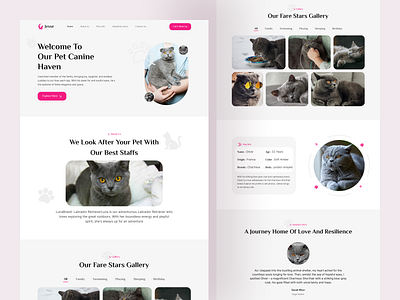 Jesse - Pet Portfolio Landing Page Design animal animal cv animal portfolio landing page minimal minimalist modern pet pet adoption pet cv pet owners pet parents pet portfolio responsive typography ui ux web web design website