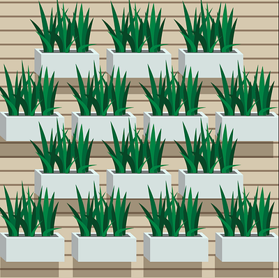 Houseplant Pattern illustration pattern vector