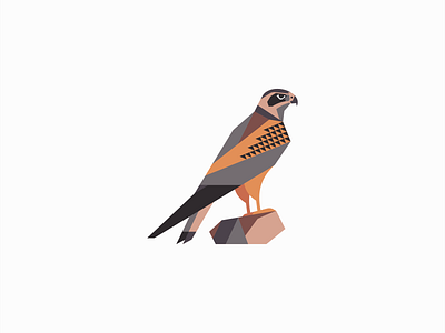 Geometric Falcon Logo animal bird branding design eagle emble falcon geometric hawk icon illustration logo mark modern nature sports vector wings