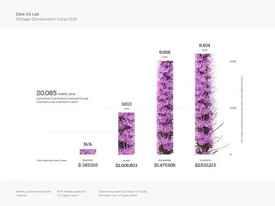 C3 Chicago Conservation Corps report detail branding dataviz illustration report