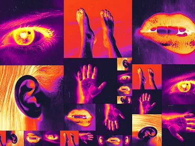 THE SENSES & else background brutalist design design ear eyes foot graphic design hand infrared mouth sense senses streetwear