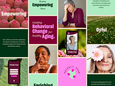 Prickly Pear Branding aging app brand identity branding health health app healthcare