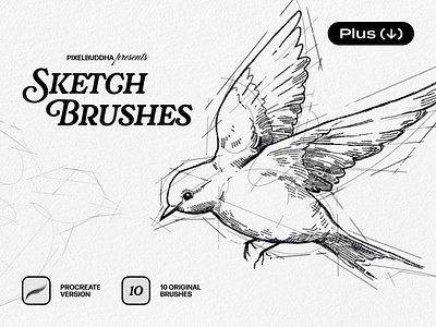 Sketch Brushes For Procreate brush brushapes brushes brushset chalk charcoal digital draw drawing illustration ink pencil pixelbuddha procreate sketch sketching soft stroke
