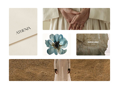 Inspiration moodboard for a nature inspired brand art direction brand board brand identity branding design elegant graphic design logo minimalistic mood board moodboard