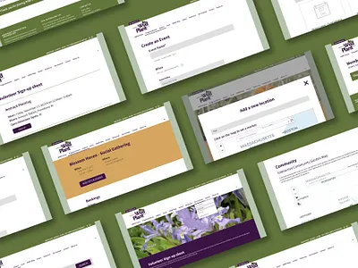RIWPS design graphic design social media ui ux wordpress