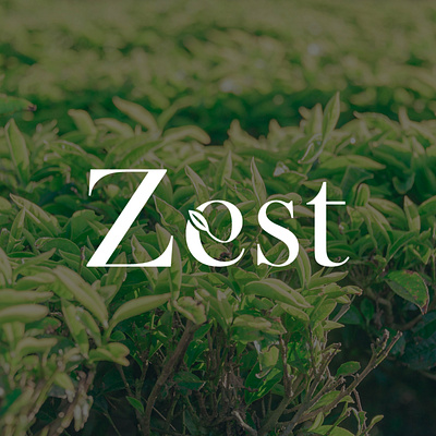 Zest branding graphic design logo
