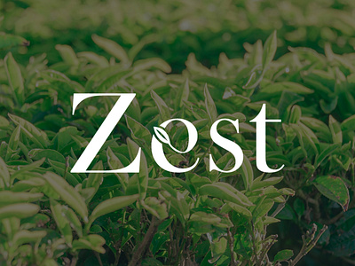 Zest branding graphic design logo