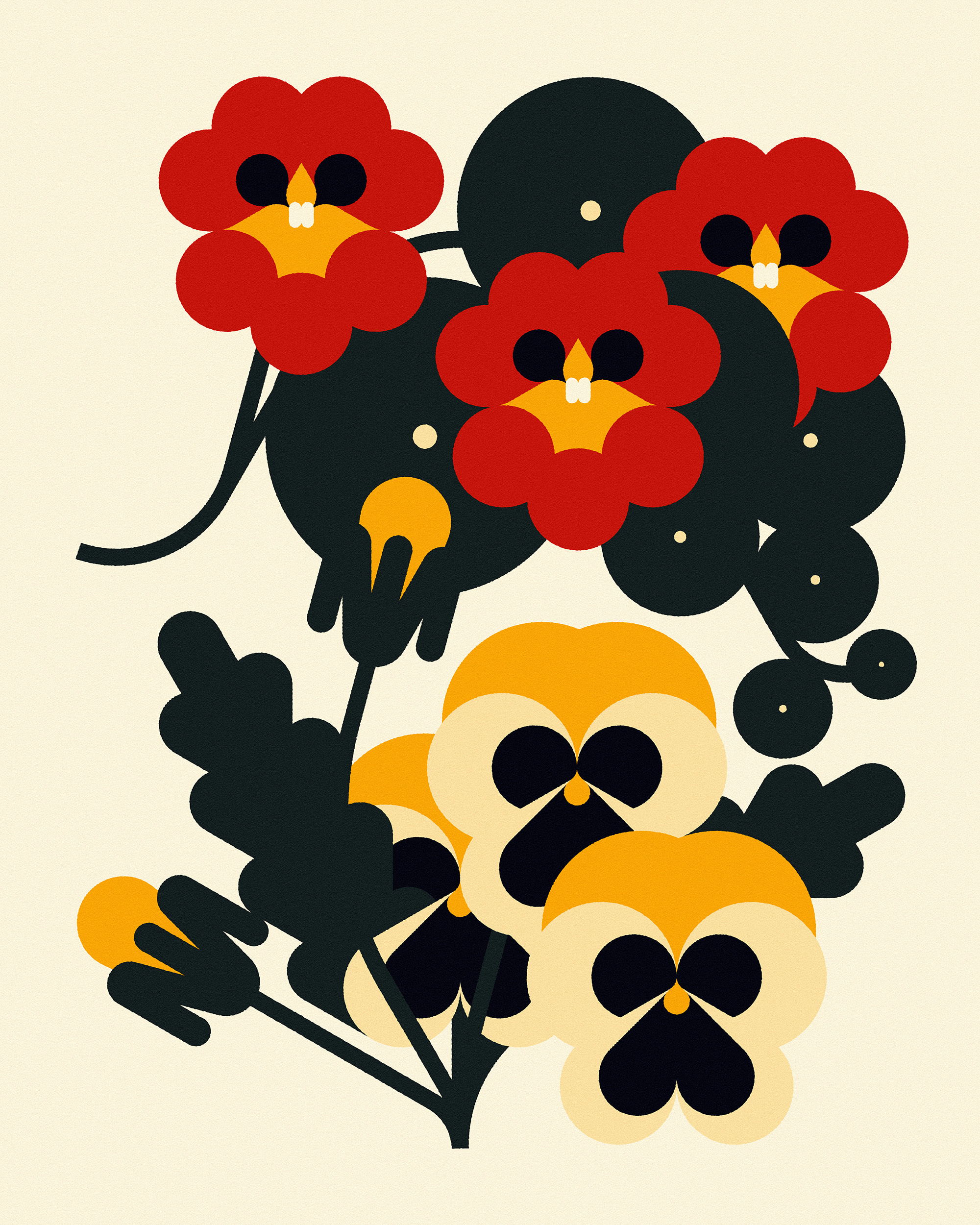 Nasturtium & Pansy (2024) botanical botanical illustration branding design floral floral illustration flowers illustration minimal illustration nature plants vector vector flowers vector illustration wildlife