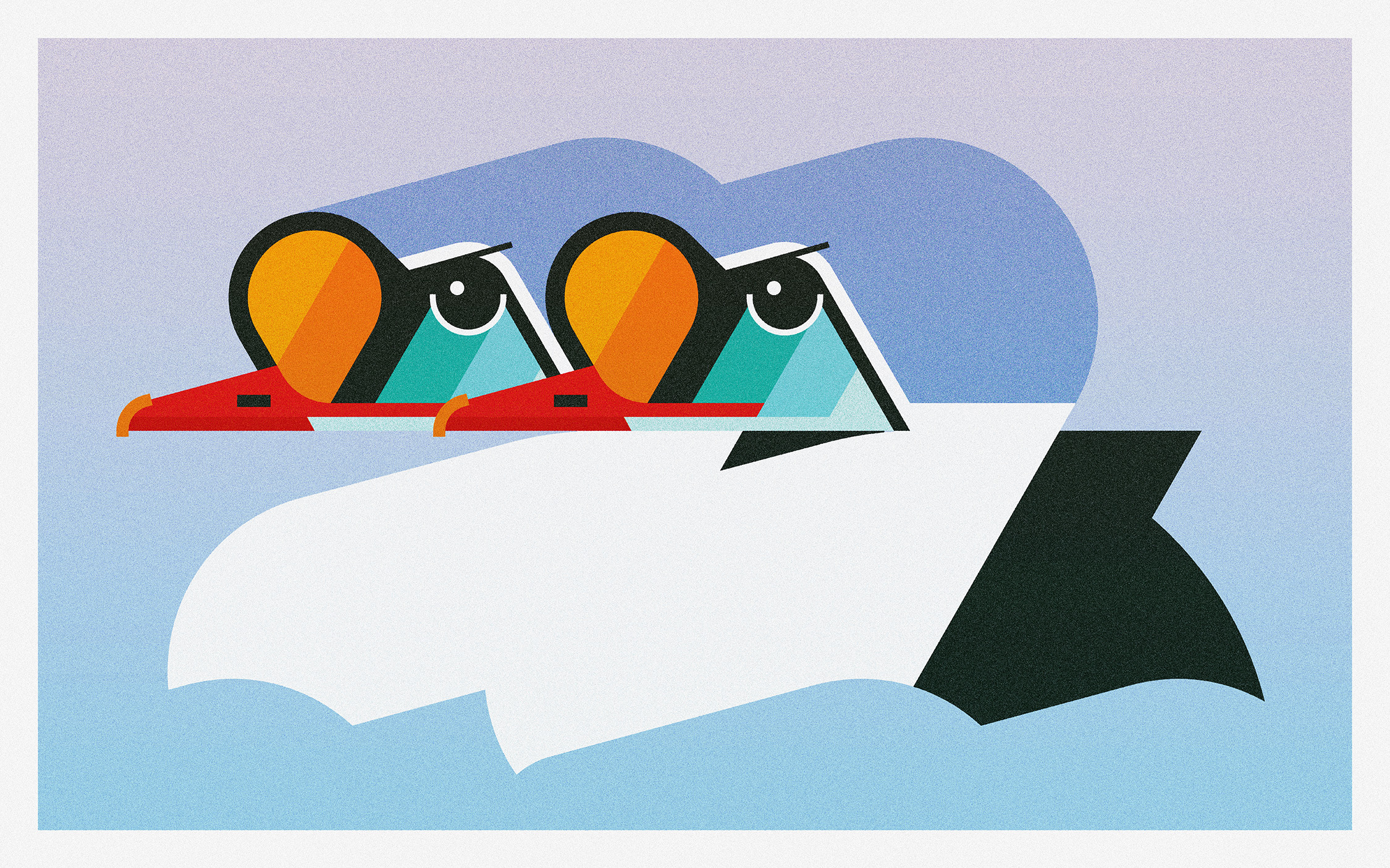 King Eiders (2024) birds branding design illustration minimal illustration nature vector vector illustration water wildlife