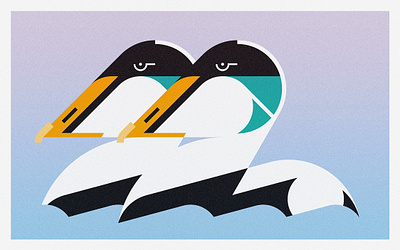 Common Eiders (2024) birds branding design eider illustration minimal illustration nature river vector water birds wildlife