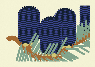 Abies Koreana (2024) branding conifer design floral graphic graphic design illustration minimal illustration nature plants trees vector vector design vector flowers wildlife