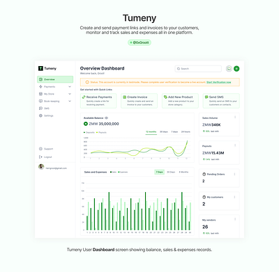 Tumeny User Dashboard dashboard desktop fintech payment ui web