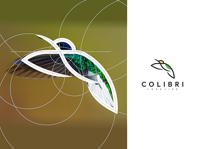 Colibri Logo Line branding design graphic design icon illustration logo logo design logotype ui vector