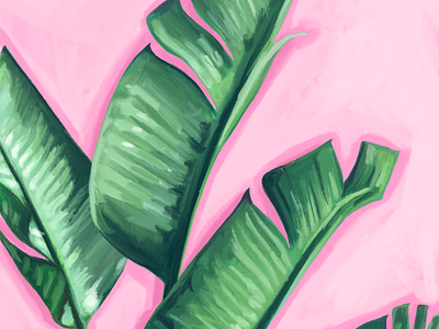 Leaves banana brush canvas green illustration ipadpro leaf leaves painting palm pink plant procreate procreateapp strokes tropical