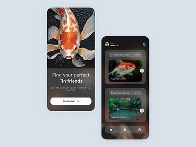 All about Fish | Mobile App