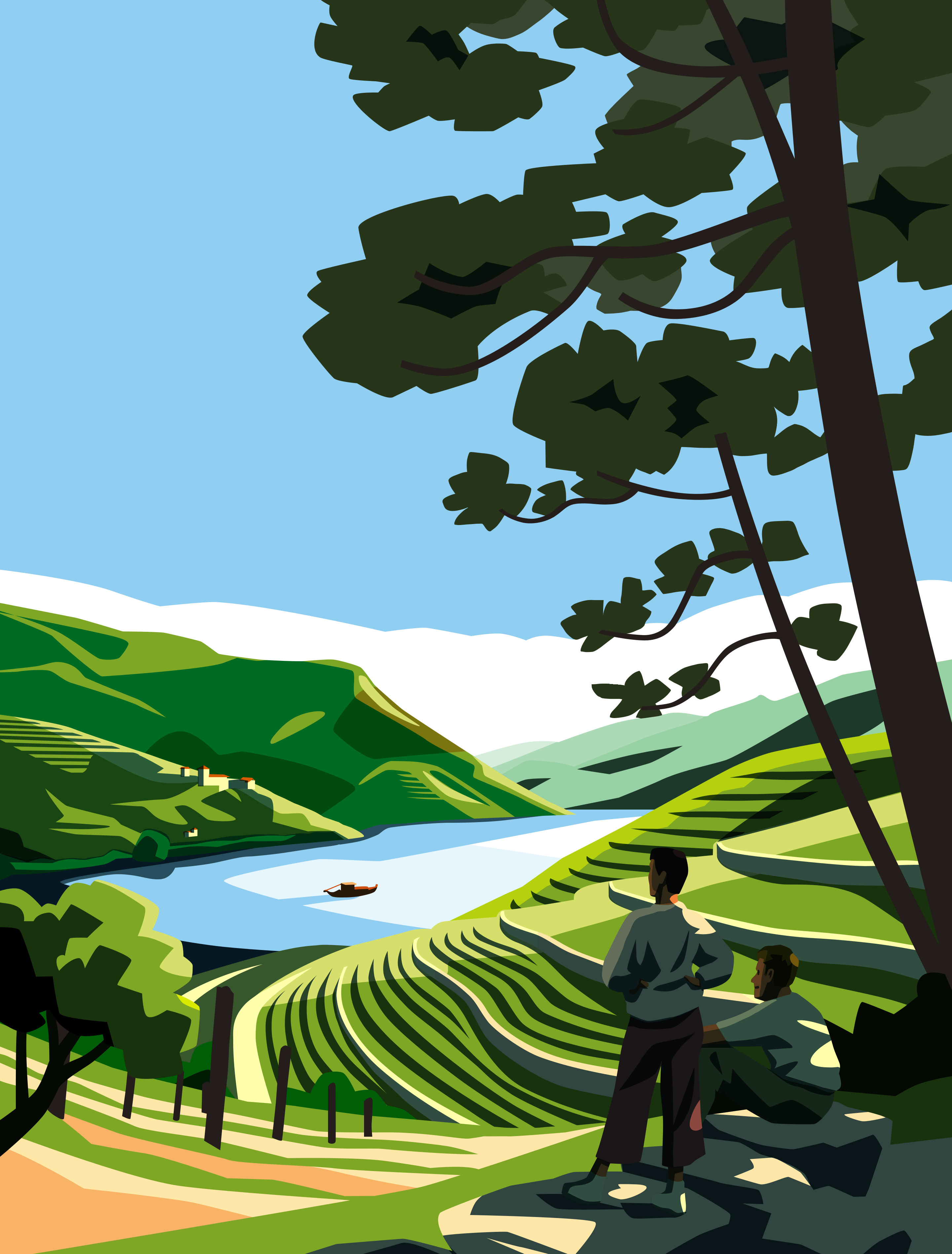 Portugal: The Monocle Handbook colourful duoro flat holiday illustration lifestyle port river travel vector view vineyard