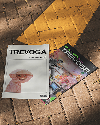 trevoga #10 graphic design poster