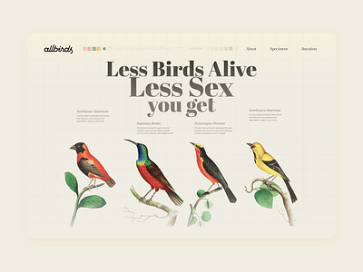 Bird rehabilitation website - Concept bird conservation graphic design illustration science ui