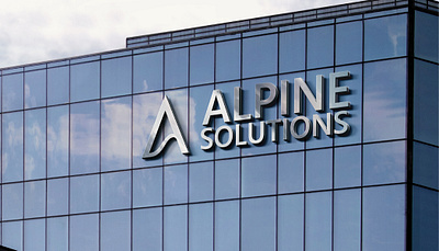 Alpine Solutions : Branding + Landing page branding design graphic design illustration logo packaging ui web design