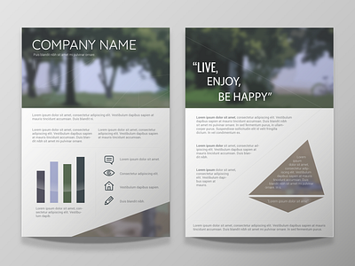 Business Brochure branding design graphic design