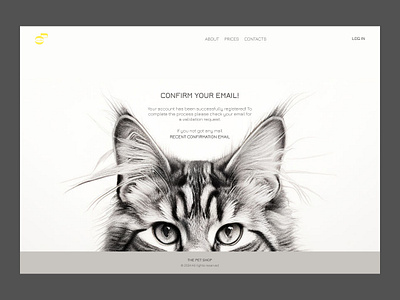 Email confirmation graphic design illustration site ui web