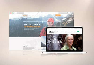 Website Design for various Clients design digital design graphic design web design website