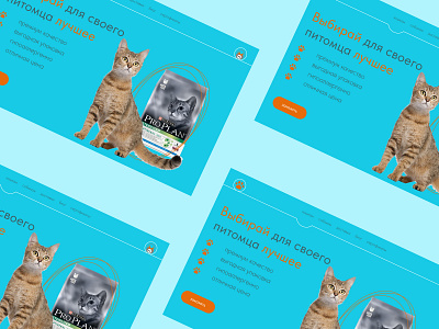 Landing page for a pet food store / 02 design graphic design ui ux