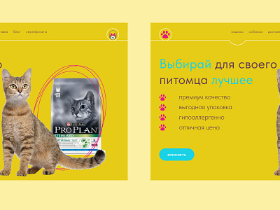 Landing page for a pet food store / 03 design graphic design ui ux