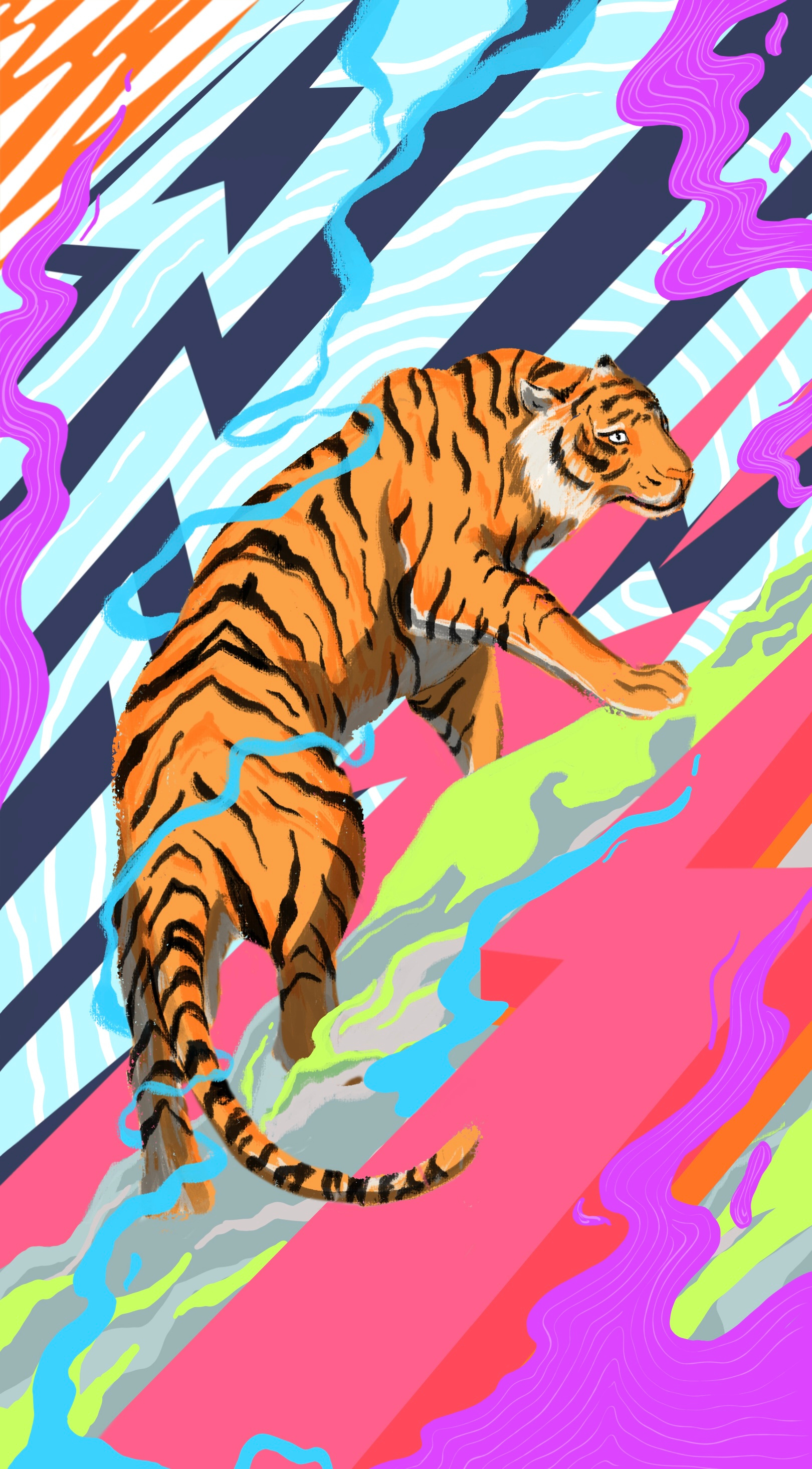Bagh colorful digital drawing fierce illustrations nepal procreate sham tiger wild animal
