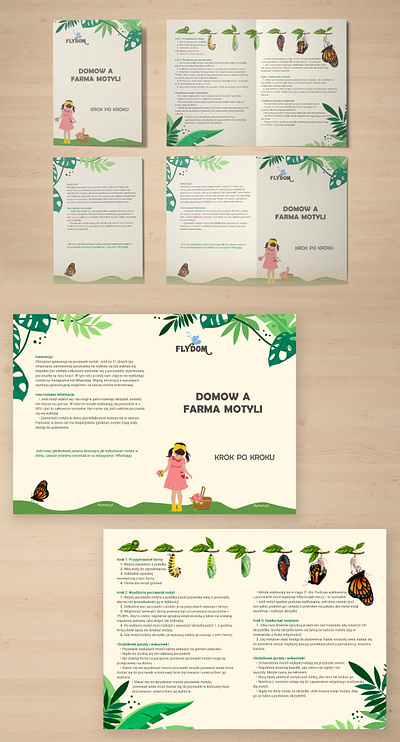 Brochure branding brochure design graphic design illustration vector