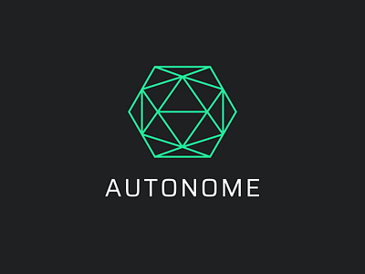 Autonome - Self-Driving Car Company Logo creative daily logo challenge logo design modern logo self driving car
