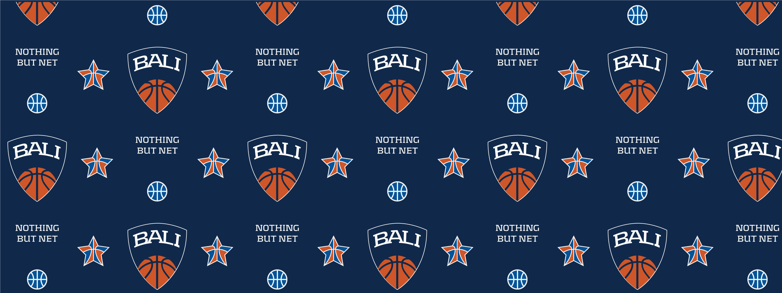 Basketball Academy of Long Island by Asaf Bochman on Dribbble