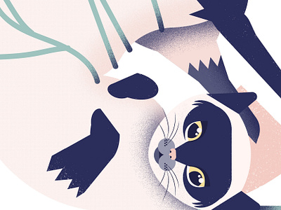 Kitty cats design ill illustration vector