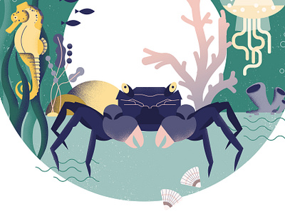 Under the Sea crab design illustration ocean seahorse vector