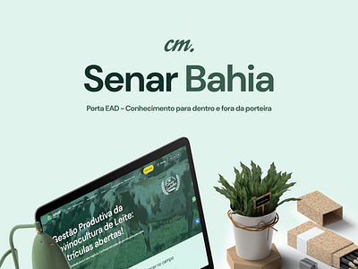 Portal EaD Senar Bahia ui ux ux ui