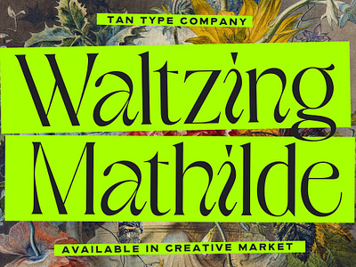 TAN - WALTZING MATHILDE display font display typeface elegant font elegant typeface fashion font quirky font quirky letters tan waltzing mathilde