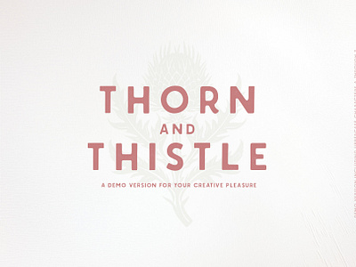 FREE DEMO | Thorn &Thistle Sans free demo font free font free sans serif freebie handmade font sans serif font